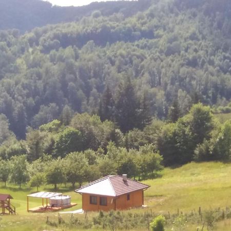 Turizam Koturovic Bed and Breakfast Ivanjica Exteriör bild