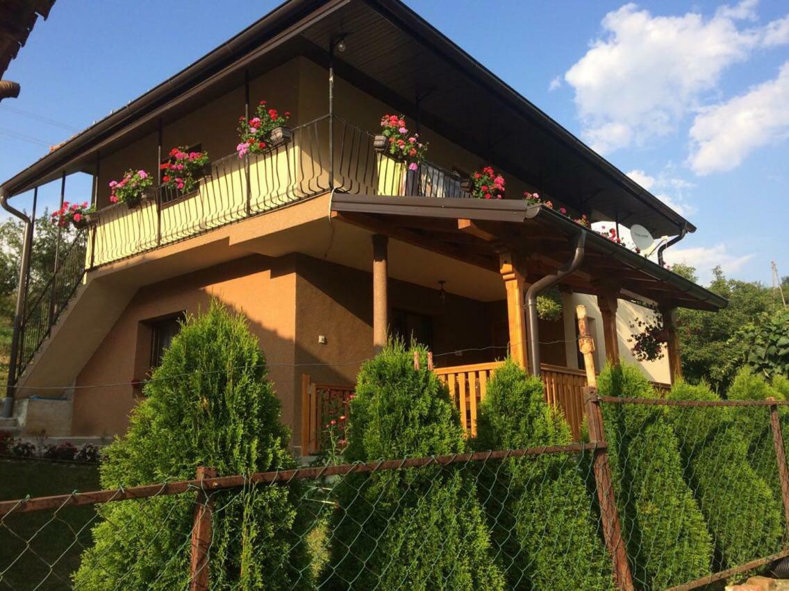 Turizam Koturovic Bed and Breakfast Ivanjica Exteriör bild
